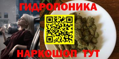 бошки Аргун