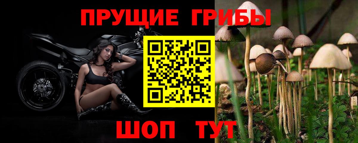 Галлюциногенные грибы мухоморы Борзя