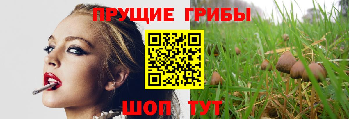 Борзя  купить закладку  Галлюциногенные грибы ЛСД  Вход с VPN  Галлюциногенные грибы Cubensis 