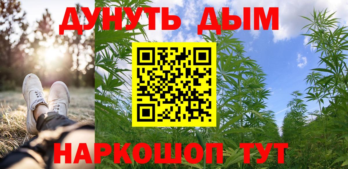 Бошки марихуана SATIVA & INDICA  Вход с VPN  Борзя  Марихуана планчик 
